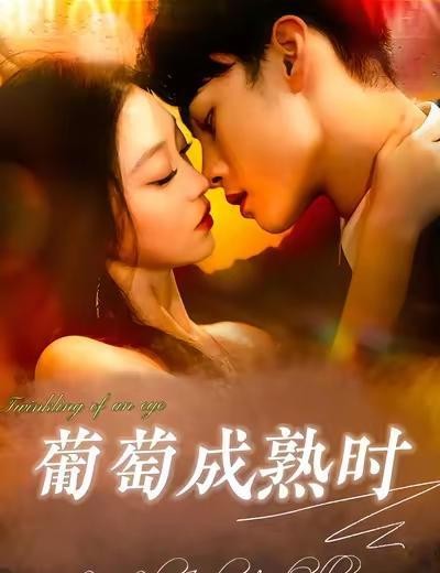 短剧_高质量短剧剧情_短剧推荐