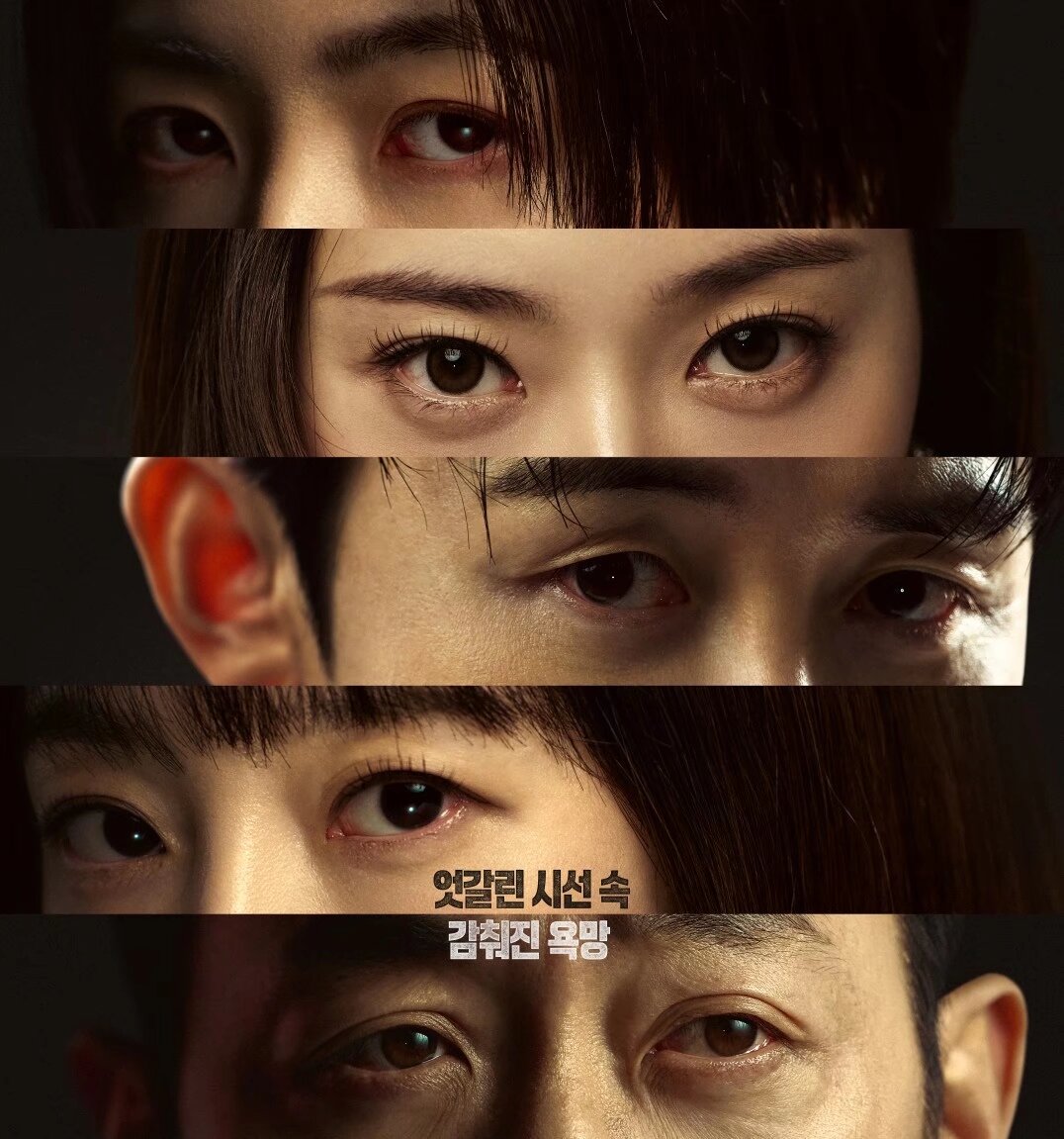 河正宇韩剧2026_在大韩民国成为屋主的方法_在大韩民国成为房主的方法电视剧